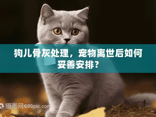 狗儿骨灰处理，宠物离世后如何妥善安排？