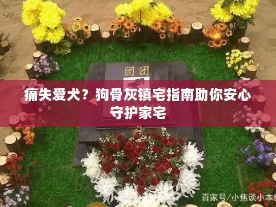 痛失爱犬？狗骨灰镇宅指南助你安心守护家宅