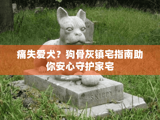 痛失爱犬？狗骨灰镇宅指南助你安心守护家宅
