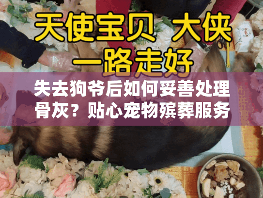 失去狗爷后如何妥善处理骨灰？贴心宠物殡葬服务选择指南