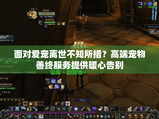 面对爱宠离世不知所措？高端宠物善终服务提供暖心告别