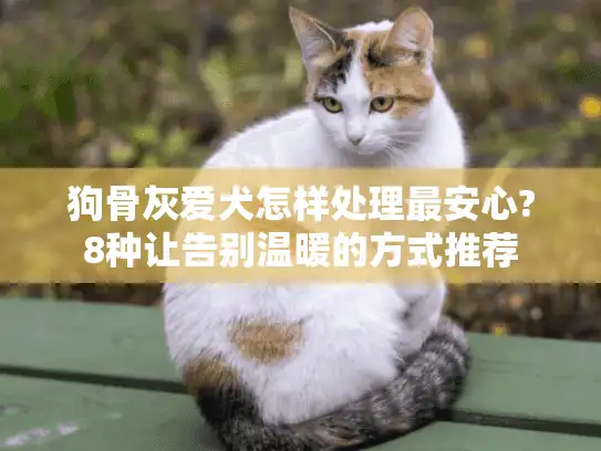 狗骨灰爱犬怎样处理最安心?8种让告别温暖的方式推荐 狗骨灰爱犬怎样处理最安心?8种让告别温暖的方式推荐