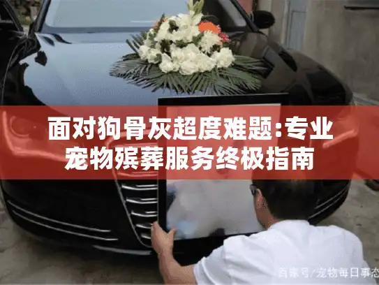 面对狗骨灰超度难题:专业宠物殡葬服务终极指南 面对狗骨灰超度难题:专业宠物殡葬服务终极指南
