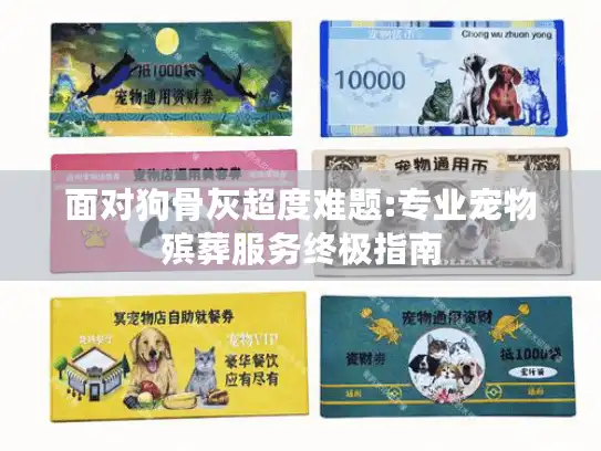 面对狗骨灰超度难题:专业宠物殡葬服务终极指南 面对狗骨灰超度难题:专业宠物殡葬服务终极指南