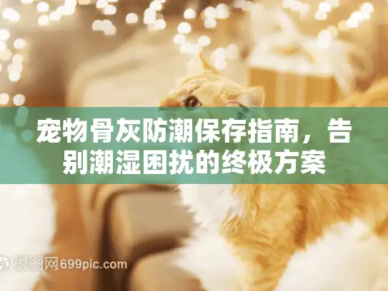 宠物骨灰防潮保存指南，告别潮湿困扰的终极方案