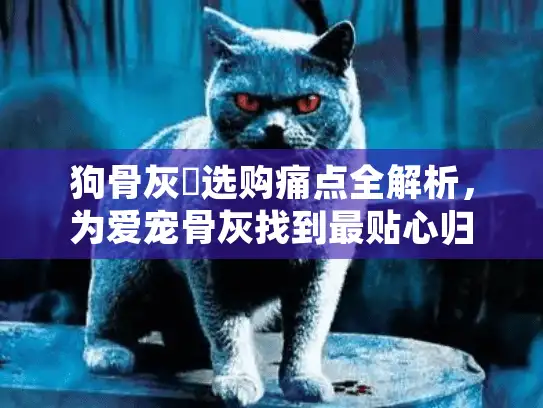 狗骨灰櫃选购痛点全解析，为爱宠骨灰找到最贴心归宿方案