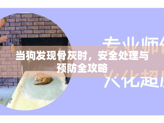 当狗发现骨灰时，安全处理与预防全攻略