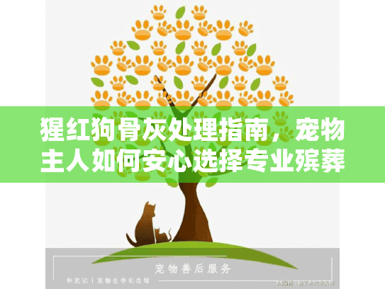 猩红狗骨灰处理指南,宠物主人如何安心选择专业殡葬服务 猩红狗骨灰处理指南,宠物主人如何安心选择专业殡葬服务