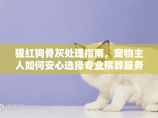 猩红狗骨灰处理指南,宠物主人如何安心选择专业殡葬服务 猩红狗骨灰处理指南,宠物主人如何安心选择专业殡葬服务