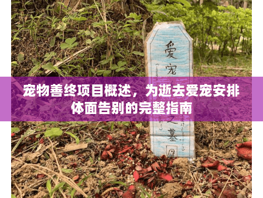 宠物善终项目概述,为逝去爱宠安排体面告别的完整指南 宠物善终项目概述,为逝去爱宠安排体面告别的完整指南