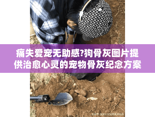 痛失爱宠无助感?狗骨灰图片提供治愈心灵的宠物骨灰纪念方案