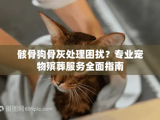 骸骨狗骨灰处理困扰？专业宠物殡葬服务全面指南