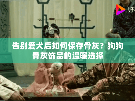 告别爱犬后如何保存骨灰？狗狗骨灰饰品的温暖选择