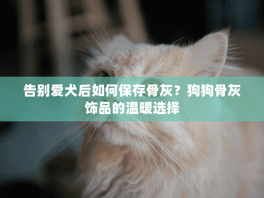 告别爱犬后如何保存骨灰？狗狗骨灰饰品的温暖选择