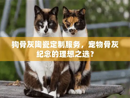 狗骨灰陶瓷定制服务，宠物骨灰纪念的理想之选？