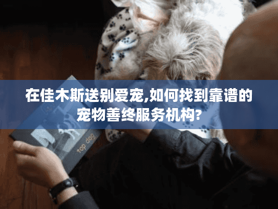 在佳木斯送别爱宠,如何找到靠谱的宠物善终服务机构?