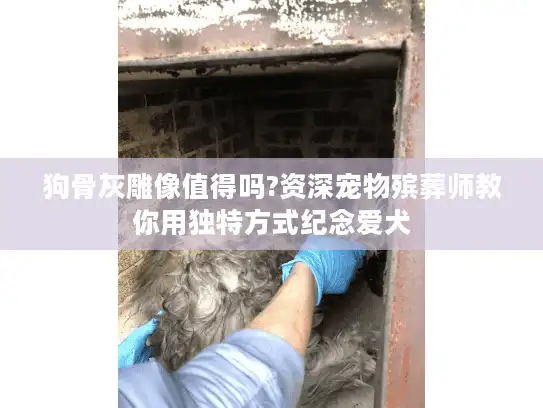 狗骨灰雕像值得吗?资深宠物殡葬师教你用独特方式纪念爱犬