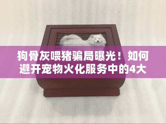 狗骨灰喂猪骗局曝光！如何避开宠物火化服务中的4大猫腻