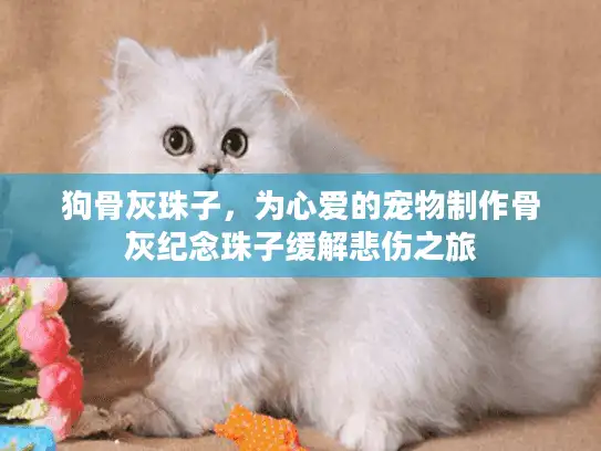 狗骨灰珠子，为心爱的宠物制作骨灰纪念珠子缓解悲伤之旅