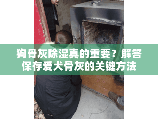 狗骨灰除湿真的重要?解答保存爱犬骨灰的关键方法 狗骨灰除湿真的重要?解答保存爱犬骨灰的关键方法