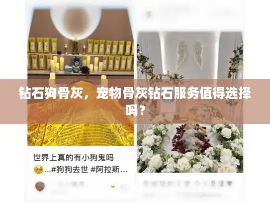 钻石狗骨灰，宠物骨灰钻石服务值得选择吗？