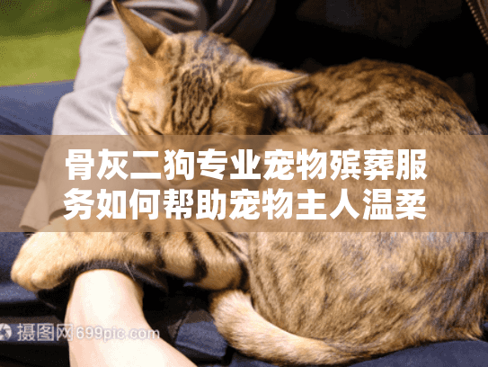 骨灰二狗专业宠物殡葬服务如何帮助宠物主人温柔告别爱宠？