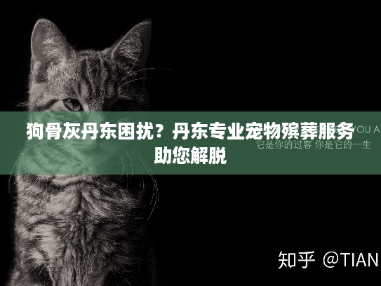 狗骨灰丹东困扰？丹东专业宠物殡葬服务助您解脱