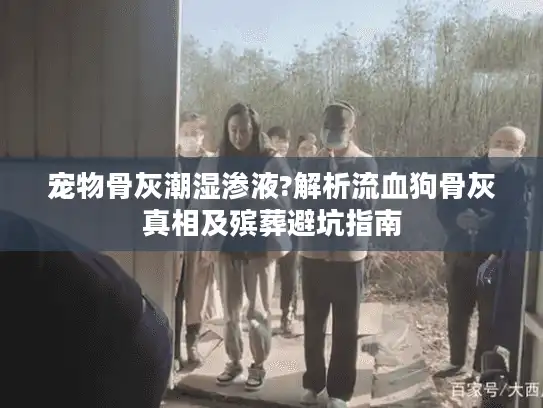 宠物骨灰潮湿渗液?解析流血狗骨灰真相及殡葬避坑指南 宠物骨灰潮湿渗液?解析流血狗骨灰真相及殡葬避坑指南