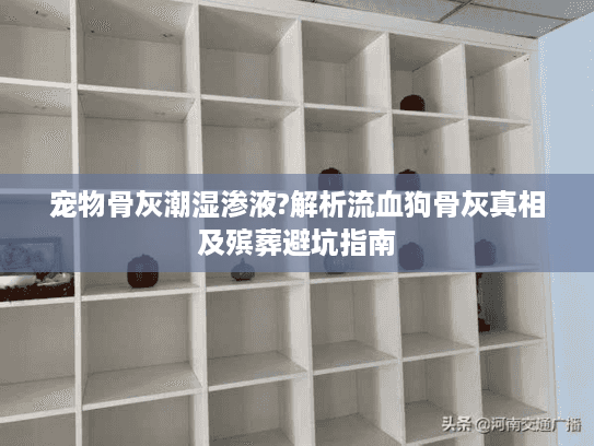宠物骨灰潮湿渗液?解析流血狗骨灰真相及殡葬避坑指南 宠物骨灰潮湿渗液?解析流血狗骨灰真相及殡葬避坑指南
