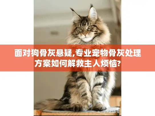 面对狗骨灰悬疑,专业宠物骨灰处理方案如何解救主人烦恼?