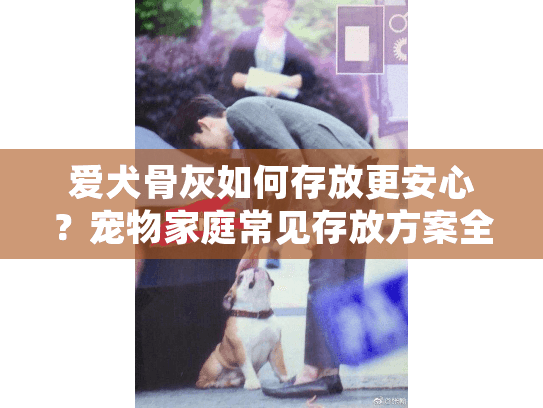 爱犬骨灰如何存放更安心？宠物家庭常见存放方案全面解析