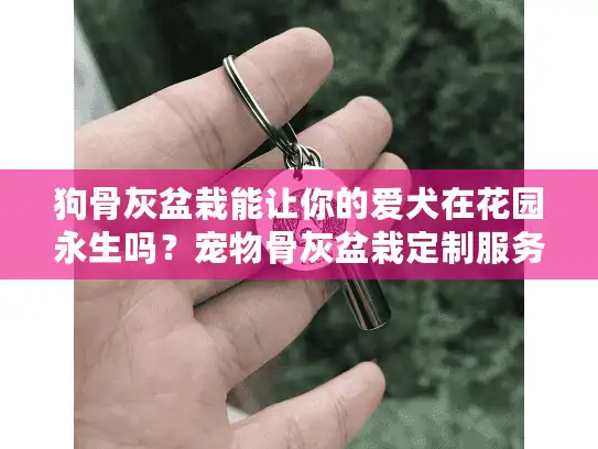 狗骨灰盆栽能让你的爱犬在花园永生吗？宠物骨灰盆栽定制服务解析