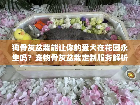 狗骨灰盆栽能让你的爱犬在花园永生吗？宠物骨灰盆栽定制服务解析