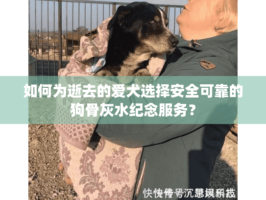 如何为逝去的爱犬选择安全可靠的狗骨灰水纪念服务？