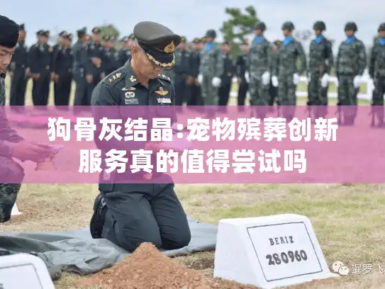 狗骨灰结晶:宠物殡葬创新服务真的值得尝试吗