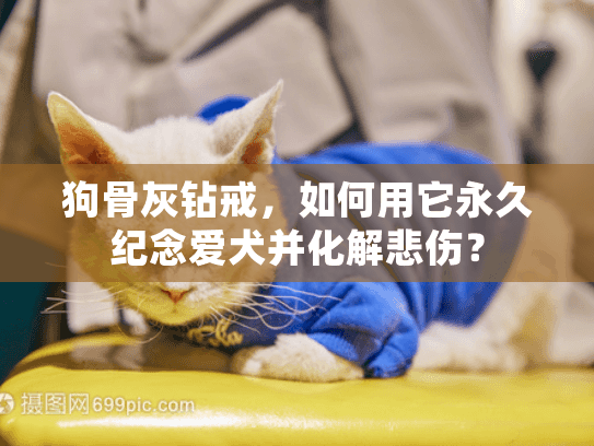 狗骨灰钻戒，如何用它永久纪念爱犬并化解悲伤？
