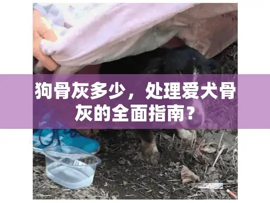 狗骨灰多少,处理爱犬骨灰的全面指南? 狗骨灰多少,处理爱犬骨灰的全面指南?