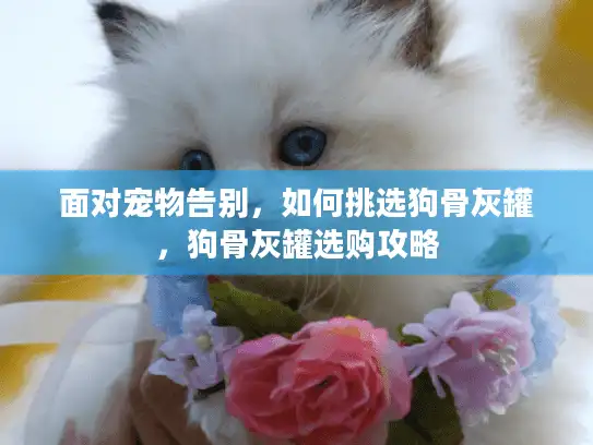 面对宠物告别,如何挑选狗骨灰罐,狗骨灰罐选购攻略 面对宠物告别,如何挑选狗骨灰罐,狗骨灰罐选购攻略