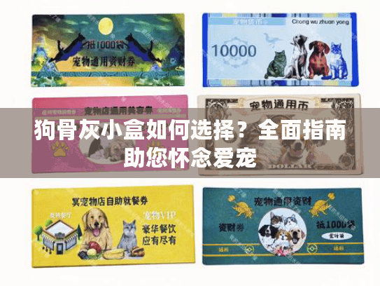 狗骨灰小盒如何选择？全面指南助您怀念爱宠