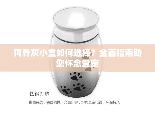 狗骨灰小盒如何选择？全面指南助您怀念爱宠
