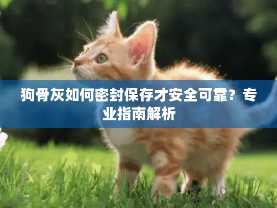 狗骨灰如何密封保存才安全可靠？专业指南解析
