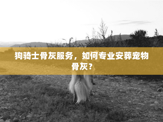 狗骑士骨灰服务,如何专业安葬宠物骨灰? 狗骑士骨灰服务,如何专业安葬宠物骨灰?
