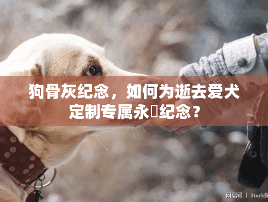 狗骨灰纪念，如何为逝去爱犬定制专属永恆纪念？