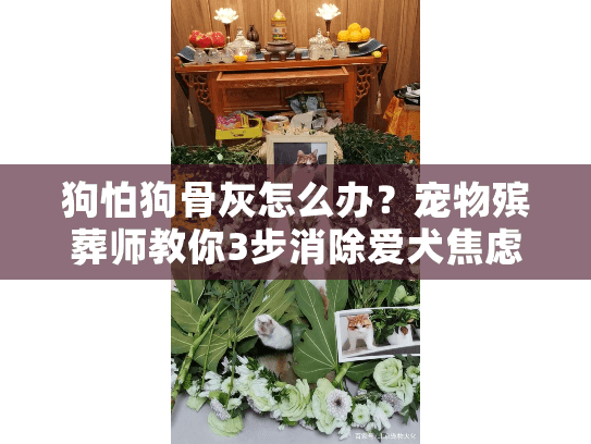 狗怕狗骨灰怎么办？宠物殡葬师教你3步消除爱犬焦虑