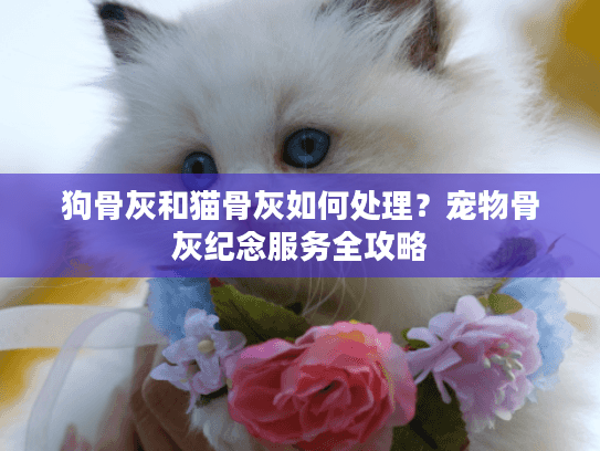 狗骨灰和猫骨灰如何处理？宠物骨灰纪念服务全攻略