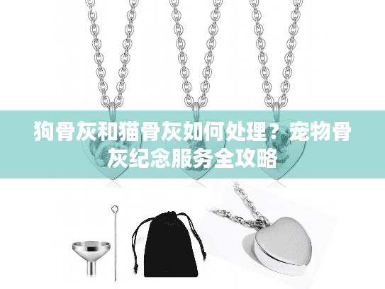 狗骨灰和猫骨灰如何处理？宠物骨灰纪念服务全攻略