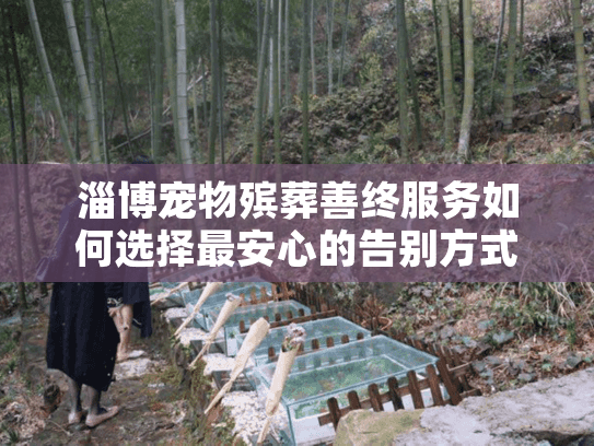 淄博宠物殡葬善终服务如何选择最安心的告别方式? 淄博宠物殡葬善终服务如何选择最安心的告别方式?