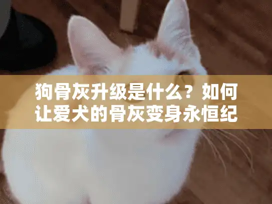 狗骨灰升级是什么?如何让爱犬的骨灰变身永恒纪念品? 狗骨灰升级是什么?如何让爱犬的骨灰变身永恒纪念品?