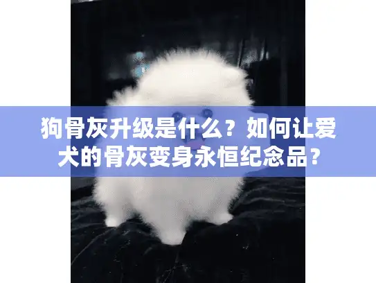 狗骨灰升级是什么?如何让爱犬的骨灰变身永恒纪念品? 狗骨灰升级是什么?如何让爱犬的骨灰变身永恒纪念品?