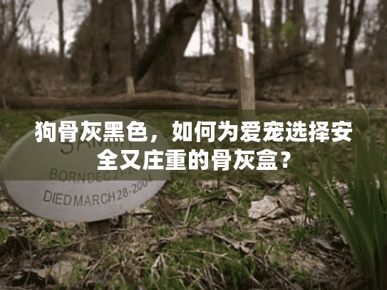 狗骨灰黑色,如何为爱宠选择安全又庄重的骨灰盒? 狗骨灰黑色,如何为爱宠选择安全又庄重的骨灰盒?